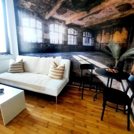 One Bedroom By The Park Old Town Belle Vue Timisoara Exterior foto