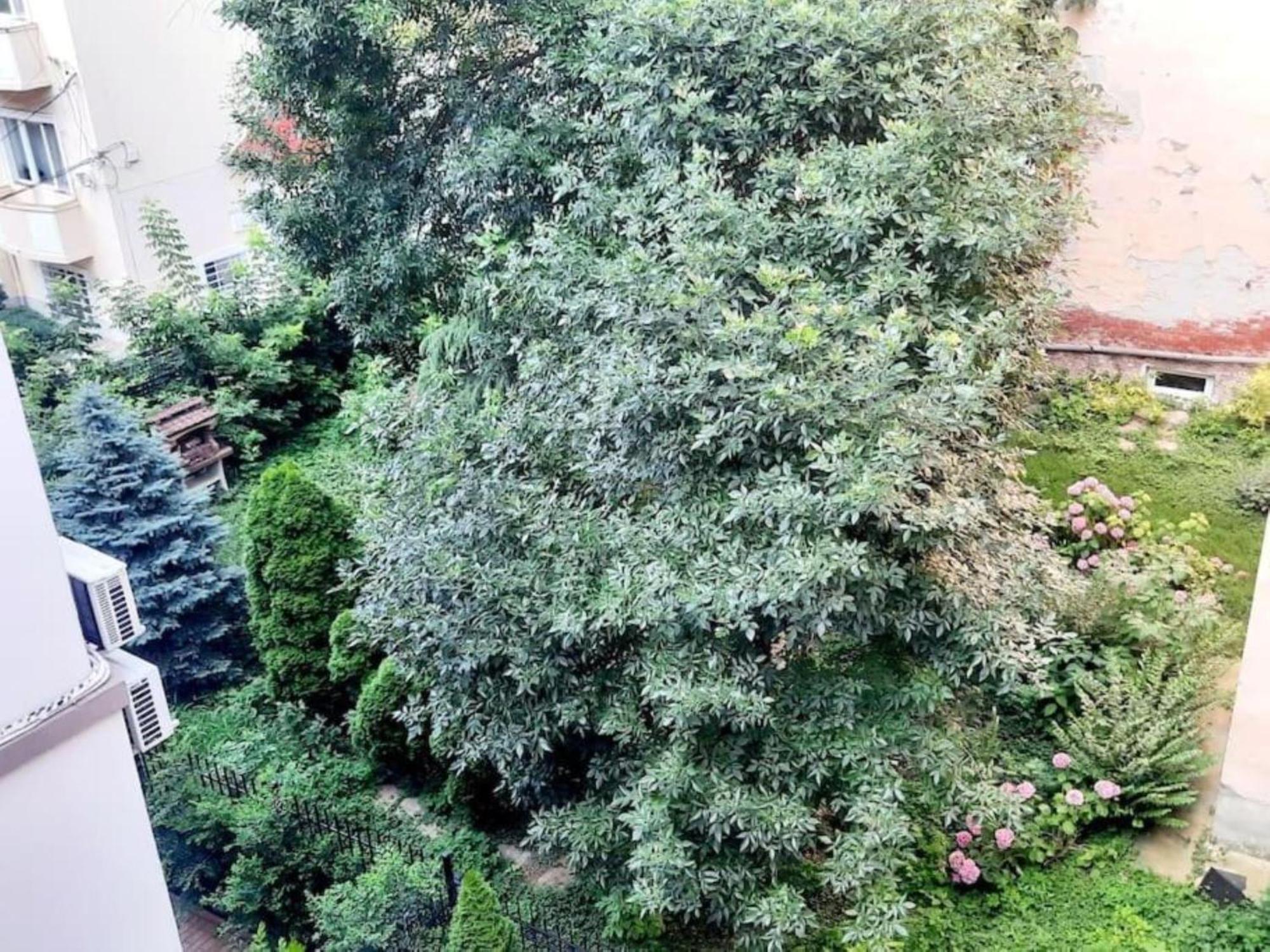 One Bedroom By The Park Old Town Belle Vue Timisoara Exterior foto